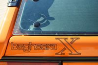 Bagheera-X-2
